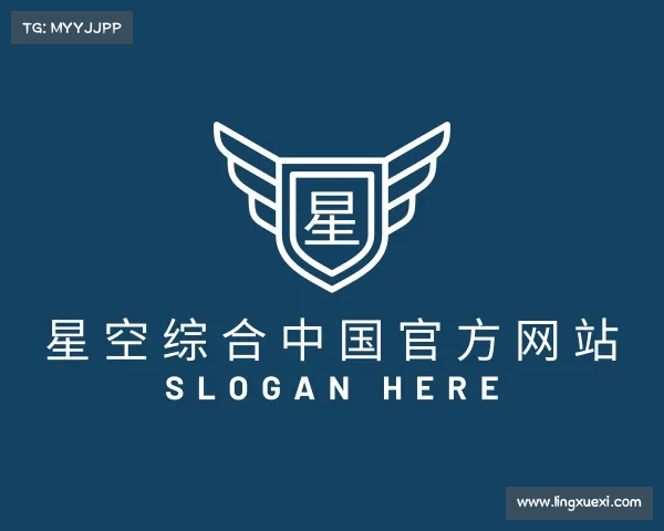 关于星空综合中国登录入口官网